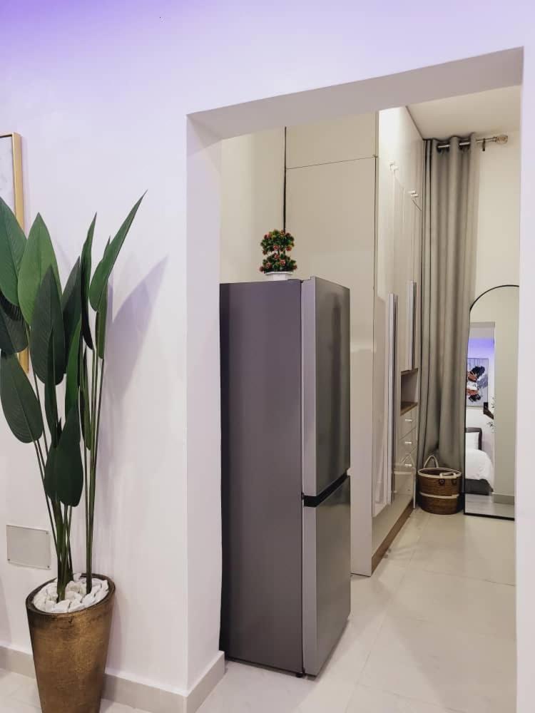 Stylish Modern Banana Island Ikoyi Apartment