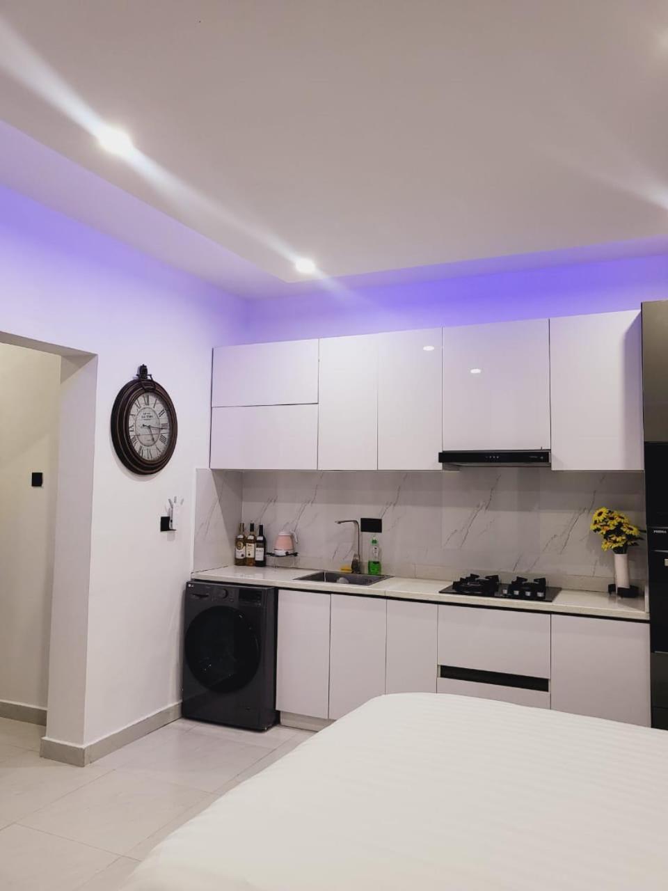 Apartment Stylish Modern Banana Island Ikoyi *